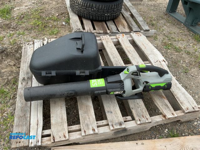 Lot 2-62917 - Ego 530 56V blower and a Poulan pro 38cc chain saw with case