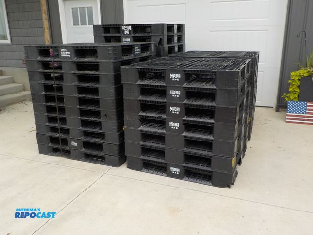 Lot 2-33537 - Lot of (43) plastic 4-way pallets.  43 1/2 in x 43 1/2 in. Few chips and cracks. National Pallet Com...