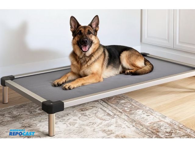 Lot 2-69694 - Titannest Dog Bed 47” padded (gray) SKU: 131-4701-GY-14V10