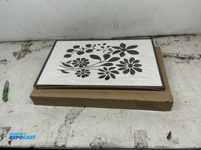 Lot 2-19398 - 3 New Floral Black and White Canvas