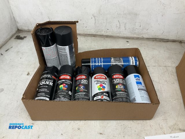 Lot 2-18561 - (9) Assorted Cans of Black Spray Paint