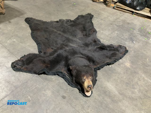 Lot 2-55788 - Black Bear Taxidermy Rug(DOBSON)