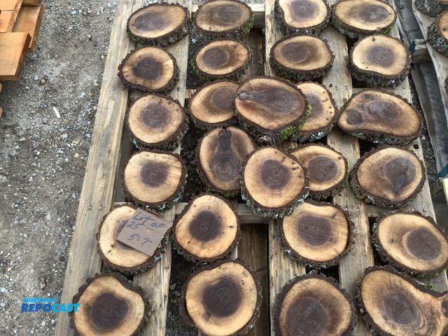 Lot 2-27371 - lot of 25 walnut wood cookies, 1 1/2" thick x  5"-7" dia