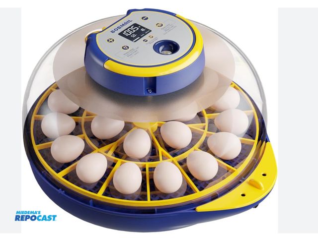 Lot 2-77999 - Lot of (2) Bobmail 21- Egg Automatic Incubator for Hatching Chicken Egg, Egg Incubator with Automati...