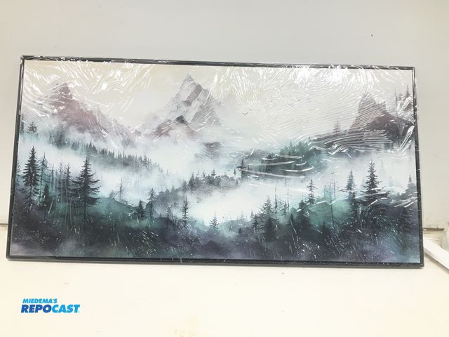 Lot 2-92725 - 24”x48” Forest/Mountain Canvas Art with Black Frame (frame is damaged)