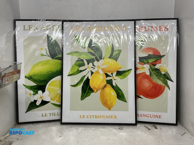 Lot 2-93818 - Lot of (3) black framed fruit pictures