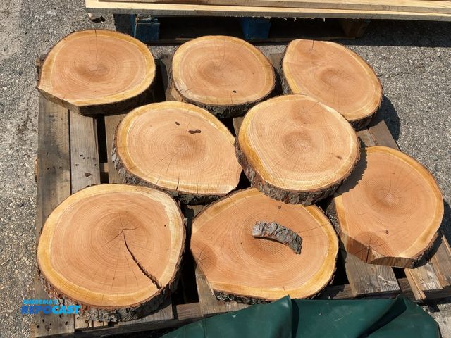 Lot 2-24623 - (8) Pieces of Cherry Cookies. 2" thick, approx. 16" diameter.