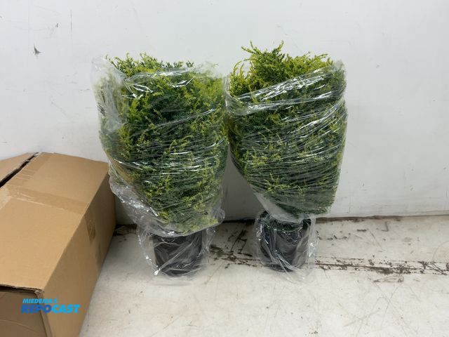 Lot 2-94495 - Lot of (2) New artificial plants, 20” T