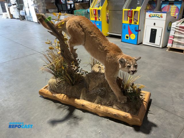 Lot 2-53659 - Mountain Lion Stalking Mount(DOBSON)