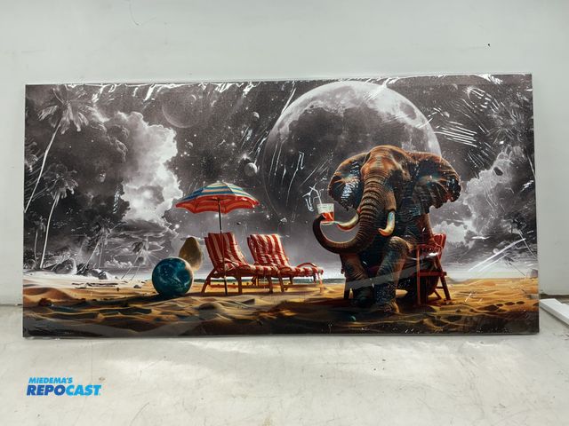 Lot 2-92719 - Semino Large Canvas Wall Art with Elephant, 24”x48”