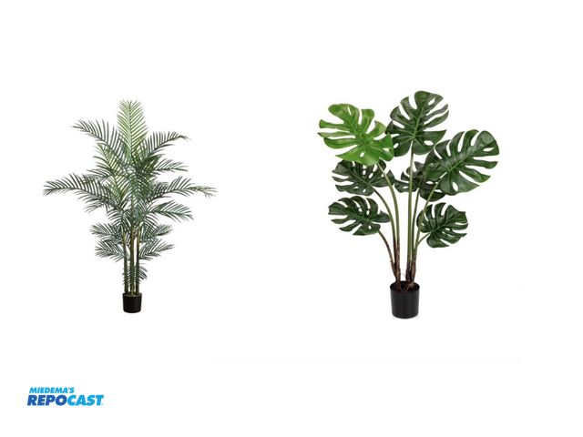 Lot 2-64437 - Skid lot of (4) Fopamtri Artificial Plants