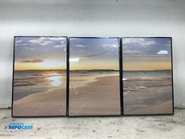 Lot 2-14983 - Lot of (3) nature picture frames approx. 16”x24”