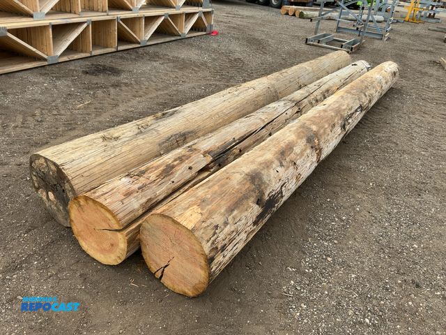 Lot 2-22059 - (3) Approx. 20’ Long Wood Telephone Poles, approx. 15-1/2”-17” base diameter range