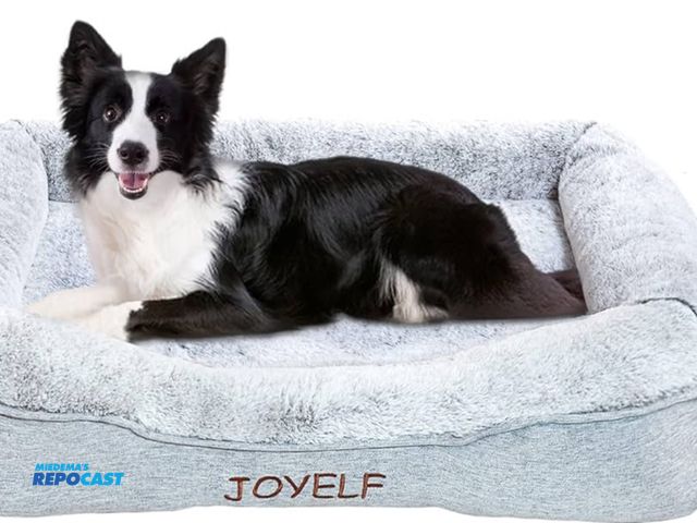 Lot 2-79893 - JOYELF Memory Foam Dog Bed waterproof liner included XOO47Q5PLN