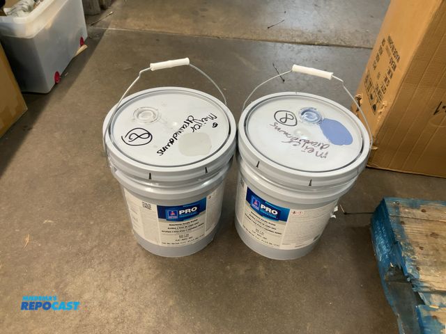 Lot 2-99770 - Lot of (2) 5 gallon buckets of Pro Industrial waterborne acrylic dryfall paint