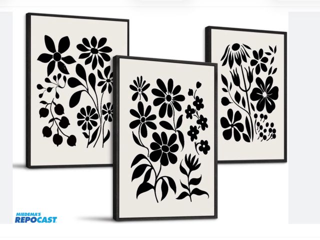 Lot 2-19885 - SERMINO black &amp; white Boho Framed Canvas prints for wall decor- approx 20 x 28