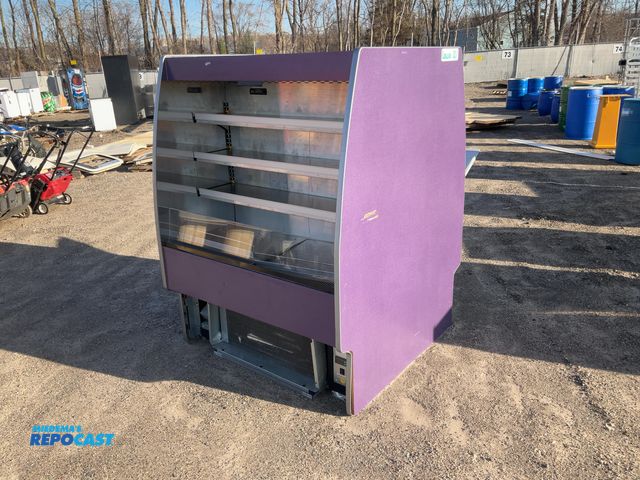 Lot 2-74062 - Oasis FSC463R Cooler