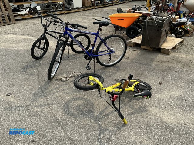 Lot 2-11490 - Lot of (3) bikes