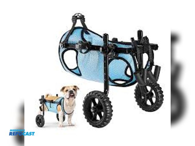 Lot 2-76931 - Lot of (3) Pet wheel chairs blue model SS1-03