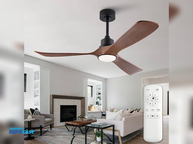 Lot 2-79923 - FUJIBONNY 52” Ceiling Fan