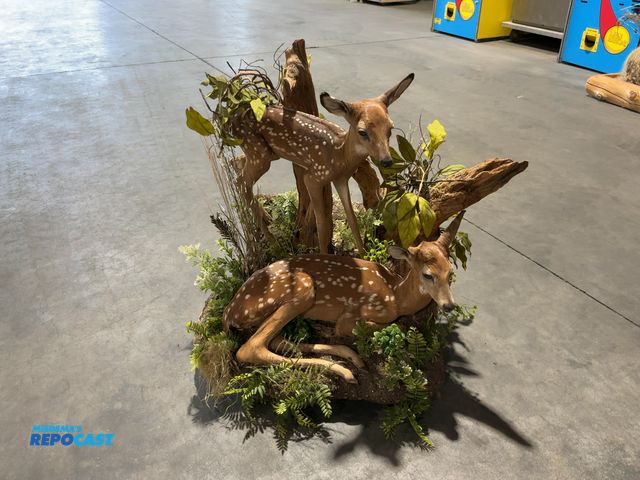 Lot 2-53660 - Double Whitetail Deer Fawn Taxidermy Mount(DOBSON)