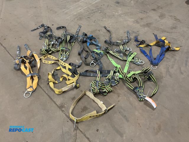Lot 2-42499 - Lot of (10) Assorted Used Safety Harnesses, one is just a belt