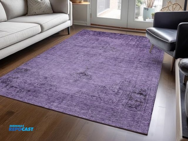 Lot 2-73490 - (1) Addison Chantille ACN658 3’ X 5’ Indoor/Outdoor Rug, Purple - New