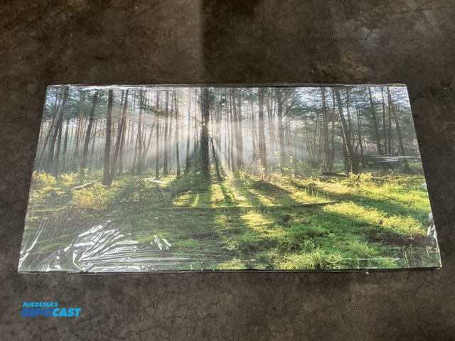 Lot 2-93812 - 58”x29”x1” decorative nature canvas