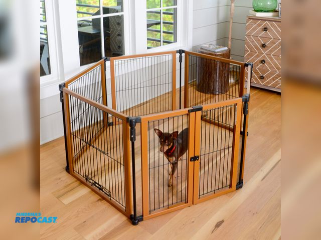 Lot 2-60695 - Chewy Cardinals Gates PFPG “The Perfect Fit” Pet Gate
