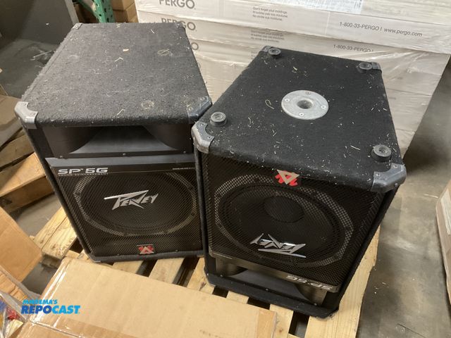 Lot 2-62718 - lot of (2) sp5g professional speakers