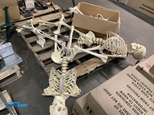 Lot 2-33759 - Skid lot of (2) medical skeletons with wheels for portability with extra box of miscellaneous bones