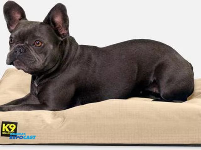 Lot 2-64544 - K9 Ballistics tough rip stop rectangle pillow dog bed, sandstone, small