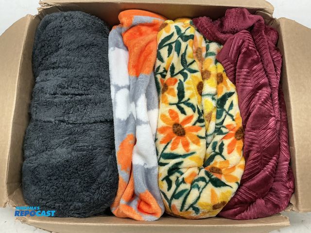Lot 2-75891 - Lot of (4) new blankets