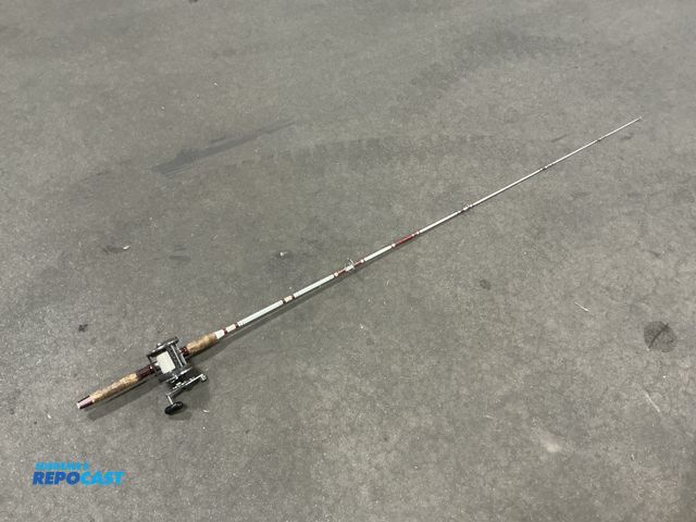 Lot 2-35474 - heavy duty fishing rod and reel with diawa reel and 6' rod for salmon and big lake fishing