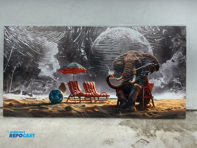 Lot 2-73256 - Hangable Elephant on Beach Picture with Moon