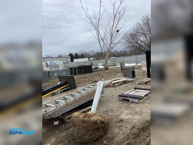 Lot 2-92544 - 1 Trees 1 brandywine maple tree approximately 10’ 5” tall with basket around roots about 34” wide an...