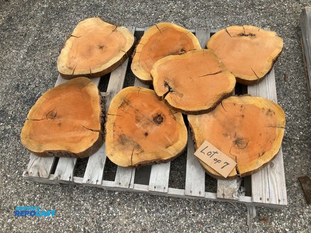 Lot 2-11223 - (7) wood cookies - approx. 1-1/2" - 2-1/2" thick x 14"-17"dia.