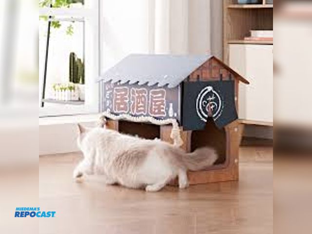 Lot 2-93680 - Natazo Indoor Cat Scratcher House