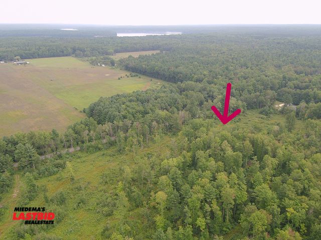 Lot 3-56B - Parcel 2 - Approximately 80 Acres in Big Prairie Township, MI
