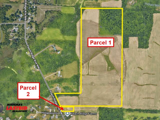 Heinbeck Farms: 75 Acres of Agricultural Land in Alpine Twp Offered in 2 Parcels