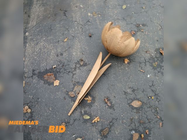 Lot 30-736 - 1 Metal garden/lawn flower ornament. no visible rust. size in photos