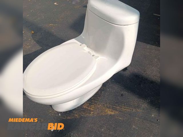 Lot 30-10123 - 1 porcelain toilet working bathroom tool. one piece. There are no operational issues with this. Seat...