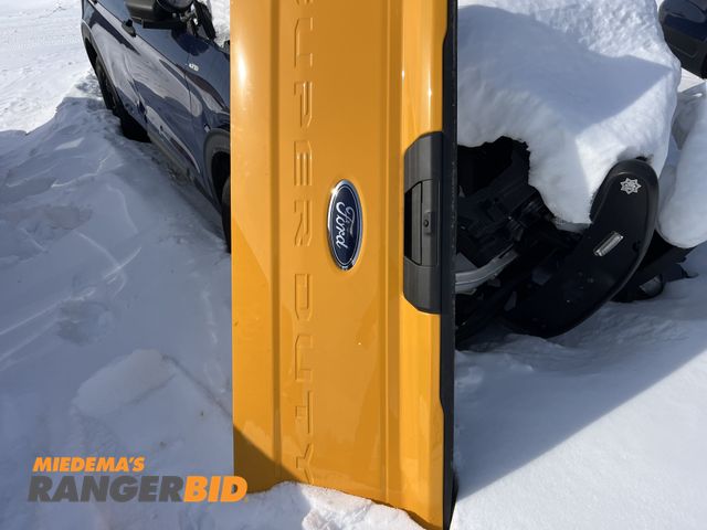 Lot 30-5029 - Ford F-250 Tailgate