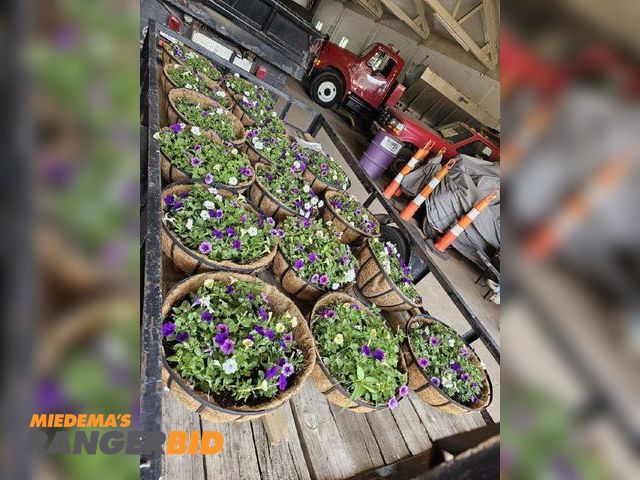 Lot 30-1887 - 16 22" Metal Hanging Baskets