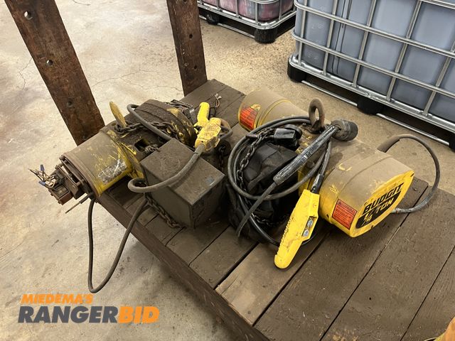 Lot 30-4612 - Budgit 1/4 Ton Hoist (2)