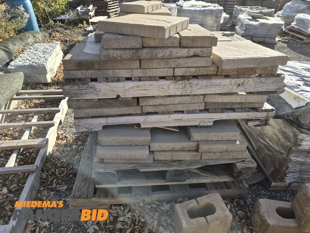 Lot 30-3111 - Assorted Belgard Pavers
