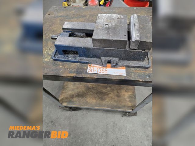 Lot 30-1365 - Good condition vice and rolling cart
