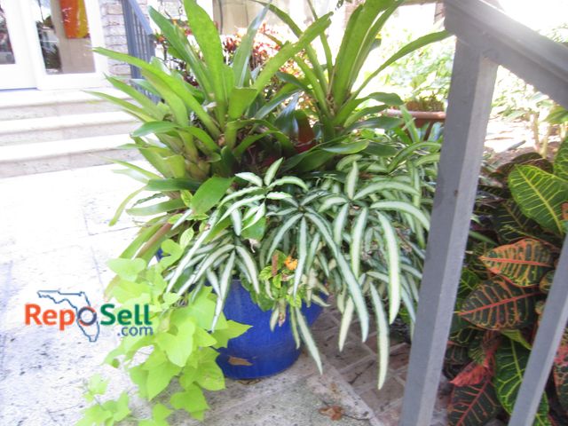 Lot 31-1502 - Ceramic Pot 16" H With Plant