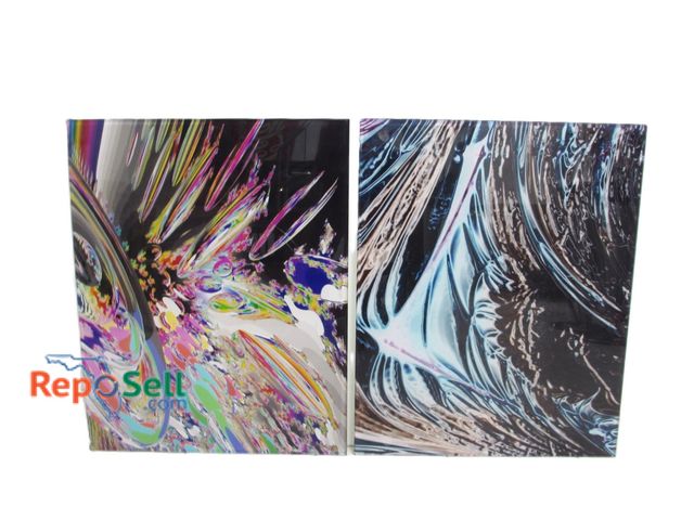 Lot 31-1231 - (2) Mylar Acrylic Wall Art Pieces; Both 24" x 30" by Ken