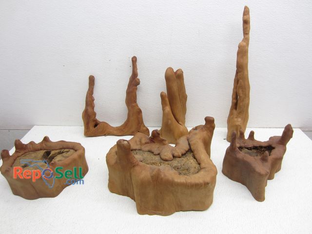Lot 31-6382 - (6) Cypress Wood Knee Pieces
